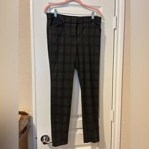 Express Dress Pant